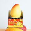 Abink Happy Mango Ice Cream Stick Flavor Tumbler Churner Packaged Short Ice Cream Cones with Delicious Chocolate Additives