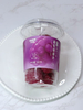 Abink Grape Slushie Pops Fruit Flavor Slush Frozen Treat with Juicy Grape Taste