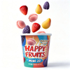 Abink Happy Fruits & Chocolate Crispy Ice Cream-Box Packaging 540 Days Shelf Life Wholesale